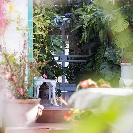 Guest house Mena