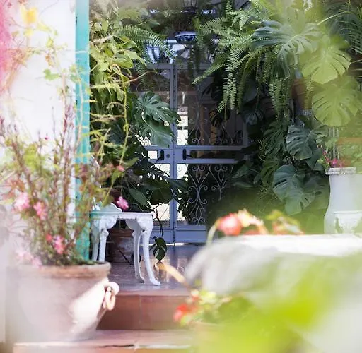 Guest house Mena